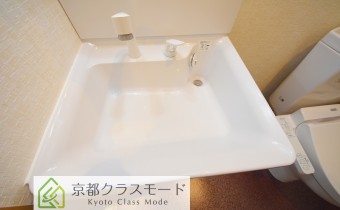 シャンプードレッサー