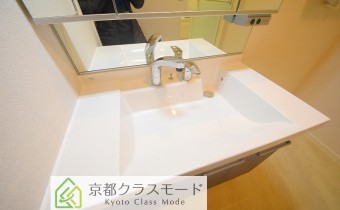 シャンプードレッサー