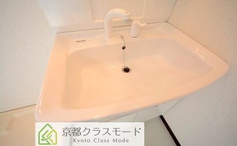 シャンプードレッサー