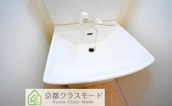 シャンプードレッサー