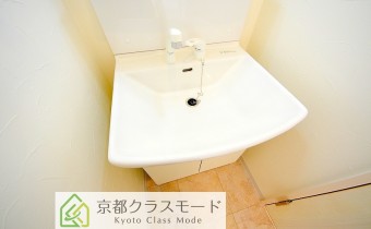 シャンプードレッサー