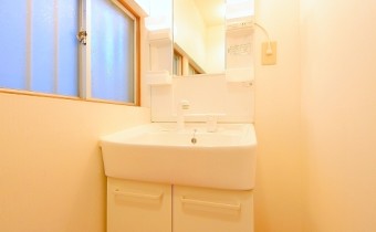 シャンプードレッサー