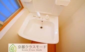 シャンプードレッサー