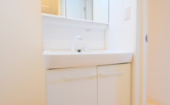 シャンプードレッサー