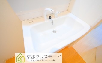 シャンプードレッサー