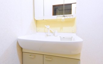 シャンプードレッサー