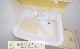 シャンプードレッサー