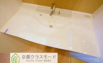 シャンプードレッサー