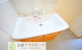 シャンプードレッサー
