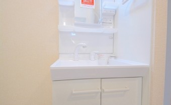 シャンプードレッサー