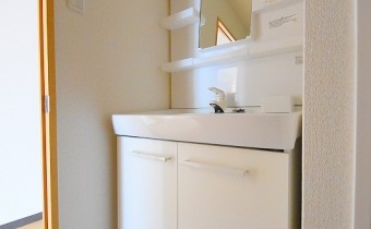 シャンプードレッサー