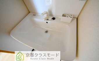 シャンプードレッサー