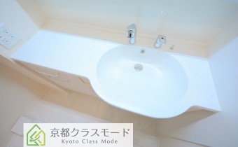 シャンプードレッサー