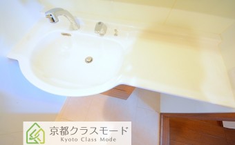 シャンプードレッサー