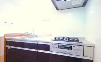 3口ガスシステムキッチン