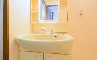シャンプードレッサー