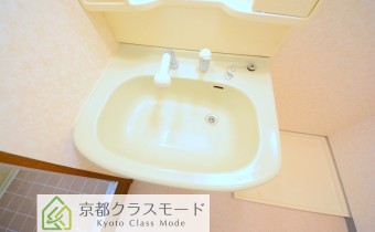 シャンプードレッサー