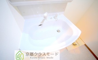 シャンプードレッサー