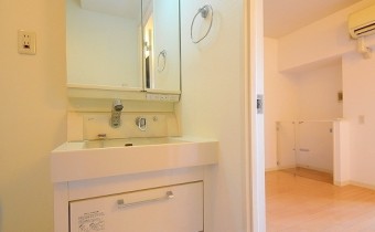 シャンプードレッサー