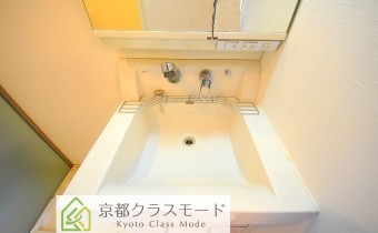 シャンプードレッサー