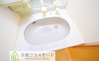 シャンプードレッサー