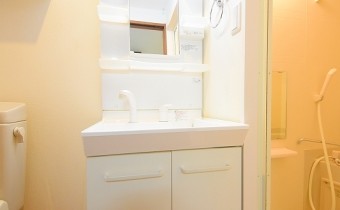 シャンプードレッサー※同マンション反転タイプの写真です