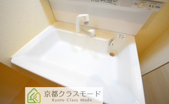 シャンプードレッサー