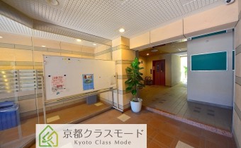 ホール