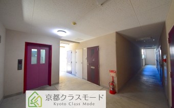 ホール