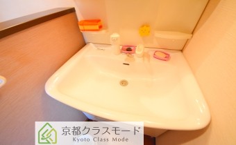 シャンプードレッサー
