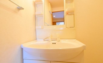 シャンプードレッサー