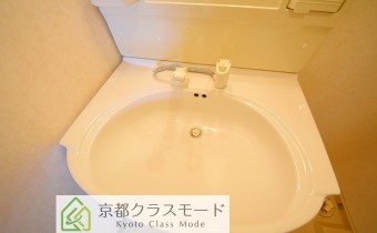シャンプードレッサー