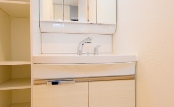 シャンプードレッサー