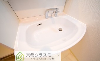シャンプードレッサー