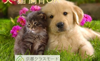 ペット飼育相談可♪