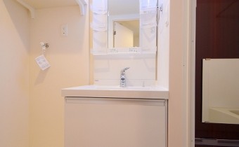 シャンプードレッサー