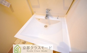 シャンプードレッサー