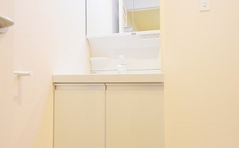 シャンプードレッサー