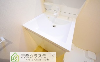 シャンプードレッサー