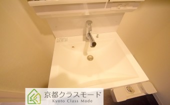 シャンプードレッサー