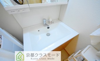 シャンプードレッサー