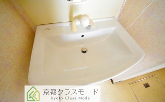 シャンプードレッサー