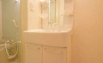 シャンプードレッサー