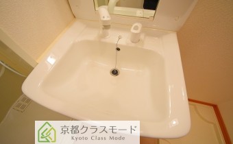 シャンプードレッサー