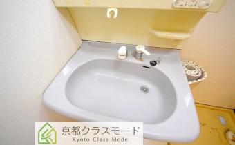 シャンプードレッサー
