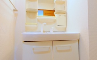 シャンプードレッサー