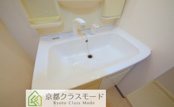 シャンプードレッサー