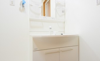 シャンプードレッサー