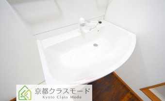 シャンプードレッサー