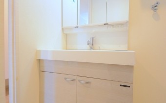 シャンプードレッサー